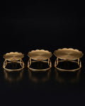 Three gold metal pedestal stands of different heights, Golden Metal Buffet Risers, Round Food Presentation Risers, Floral Scalloped Cake Pedestal, Nature Enthusiast Party Decor, Gold Tiered Dessert Stand, Separable Plate Buffet Display, Botanical Golden Serving Risers, Metal Tabletop Riser Set, Nesting Food Display Pedestals, Elevated Charcuterie Stand Gold